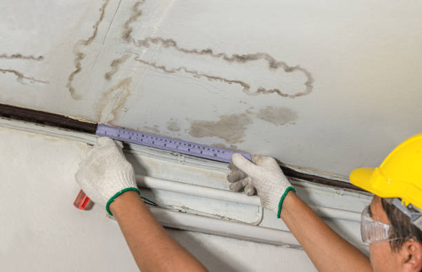 Reliable Structural Drying contractor in Randolph, MA by Water Damage Irwin